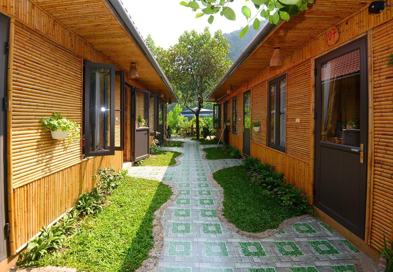 Tam Coc Viet Ha Homestay 宁平 外观 照片