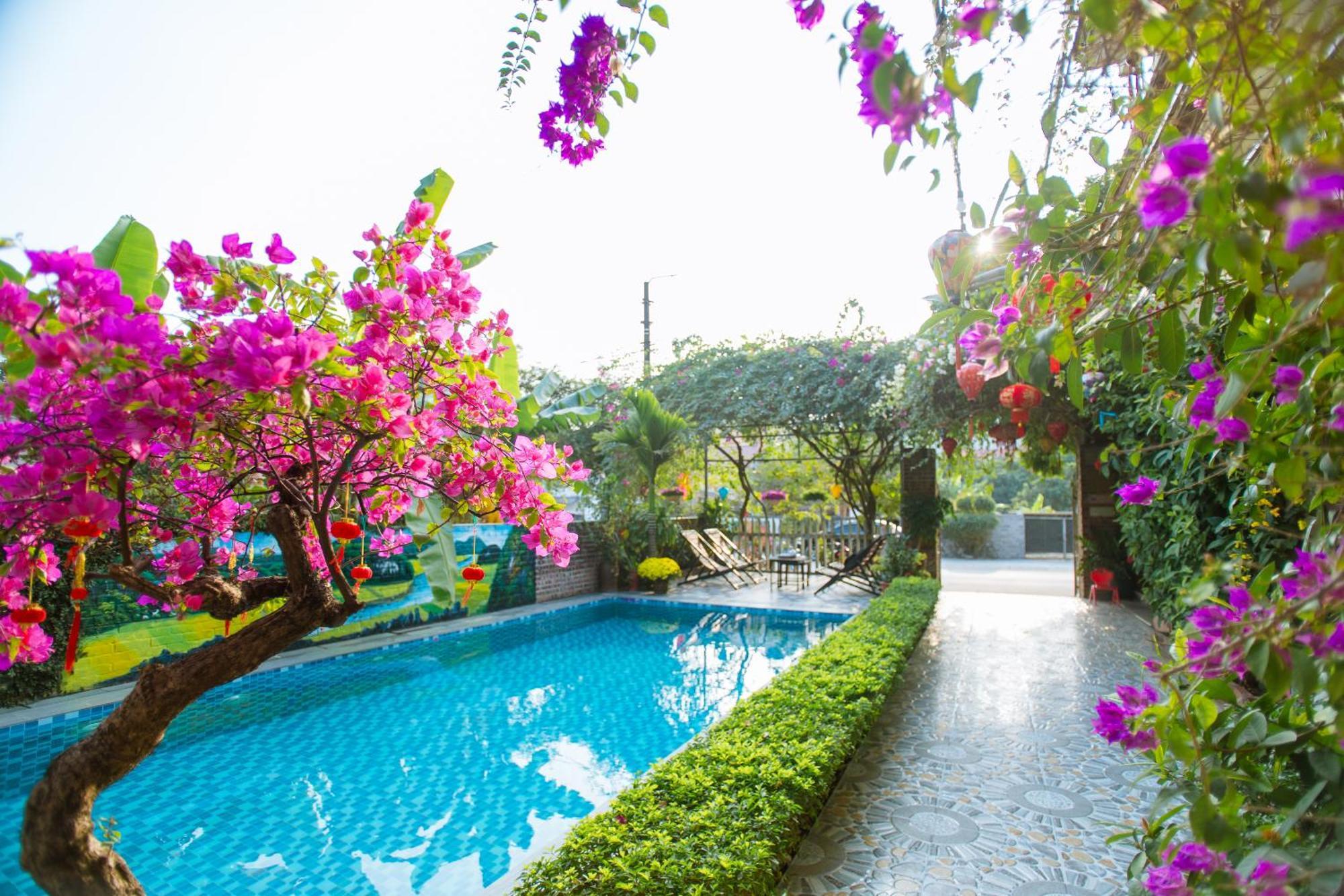 Tam Coc Viet Ha Homestay 宁平 外观 照片